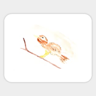 Bird, birds, animal, watercolor, art, illustration, artwork, animals, spring, summer, drawing Sticker